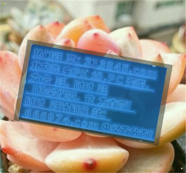 管家婆一码一肖100准，准确资料解释落实_v版95.18.30