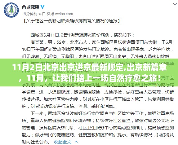 北京出京进京最新规定下的自然疗愈之旅，探寻11月新篇章