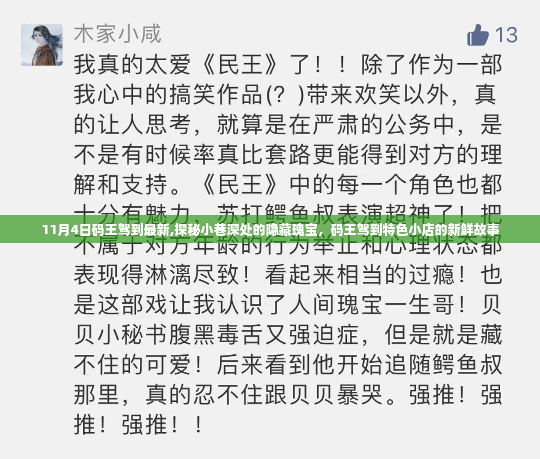 码王驾到揭秘系列，小巷深处的隐藏瑰宝与特色小店的新鲜故事