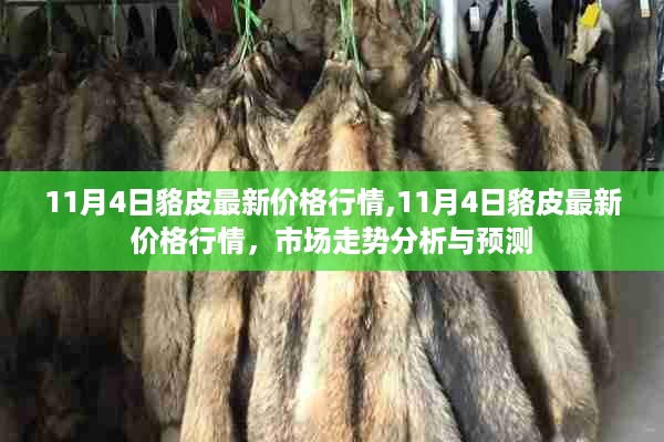11月4日貉皮最新价格行情及市场走势分析与预测